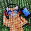 Andelai Sun's avatar